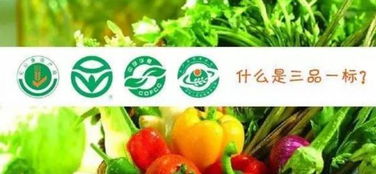 地理標志產(chǎn)品 家禽家畜的獨特品牌基因與價值塑造